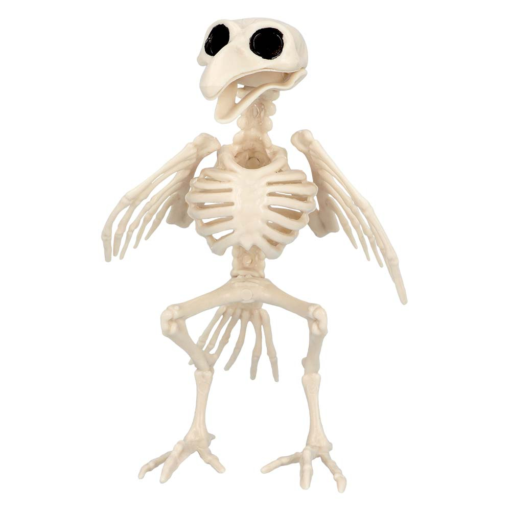 Fugle skelet (20x11 cm)