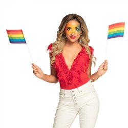 Flag P� Pind Rainbow 40cm