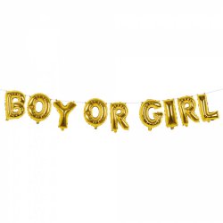 Folieballon Guirlande Boy Or Girl