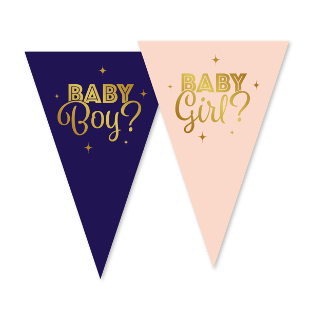 Gender Reveal Vimpelbanner  10 meter 2030 cm