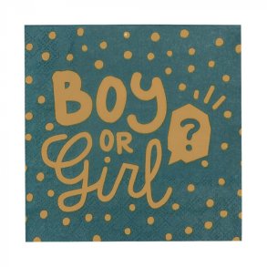 Servietter Boy Or Girl - 20 Stk. 33 x 33 cm