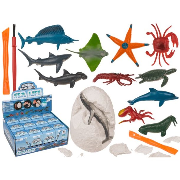 Udgravningsst Sea-Life