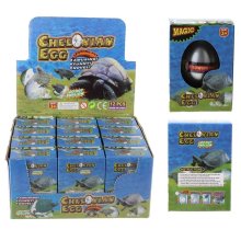 skildpadde Æg Til Vand